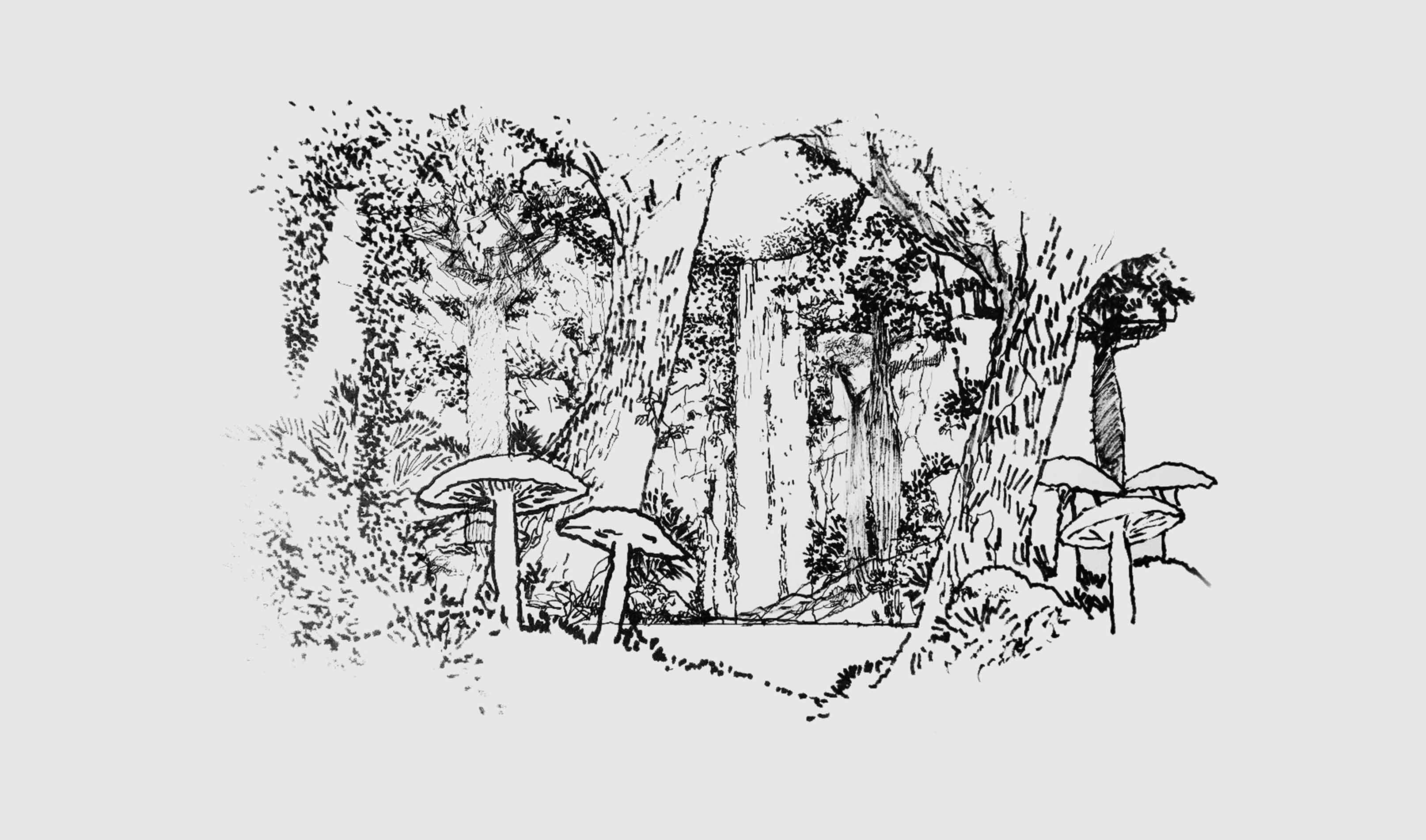 Gardentopia C2 19